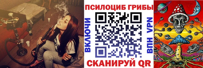 Псилоцибиновые грибы Cubensis  Купить  Тарко-Сале 